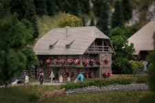 Faller 232011 - N - Uhrenmacherhäusle mit Figur Jubiläumsmodell